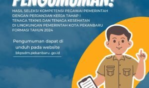 Hasil Seleksi Kompetensi PPPK