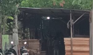 IMG-20251115-WA0018-1