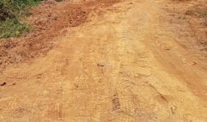 IMG-20260301-WA0168(1)